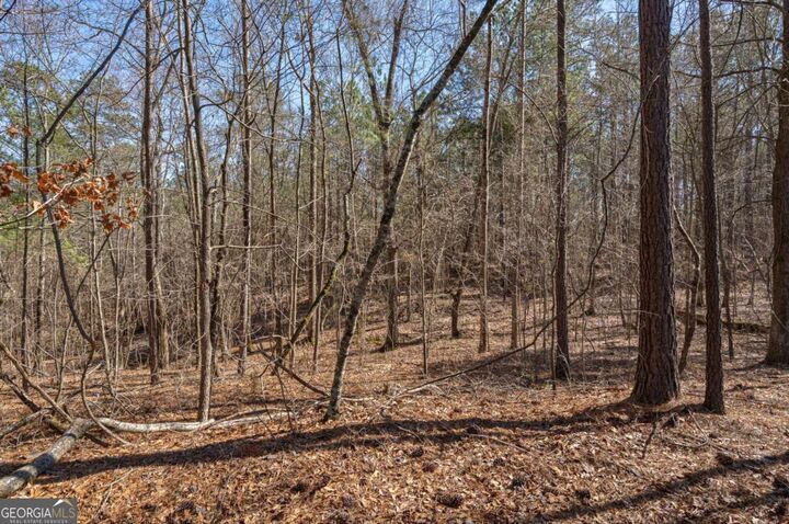 Property Photo:  0 Kent Rock Road  GA 30052 