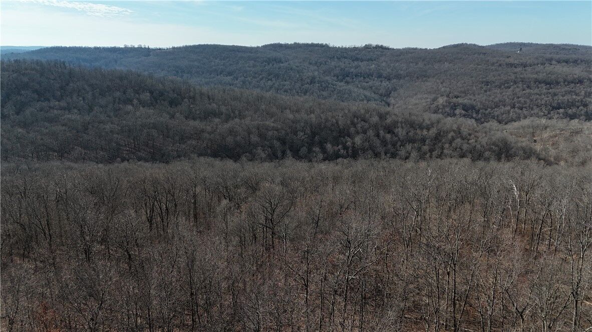 Property Photo:  000 Possum Trot Park Ossum To  AR 72624 