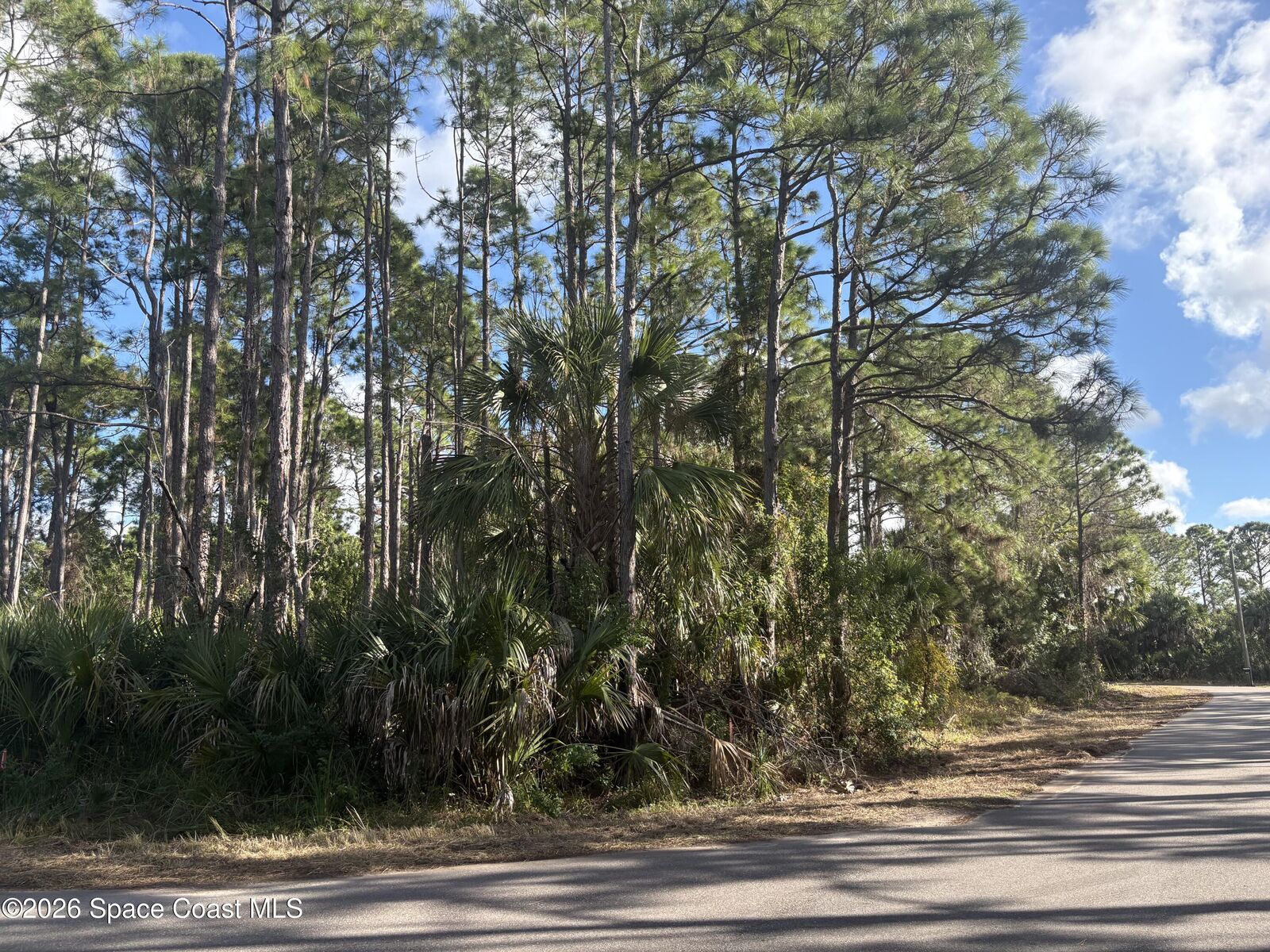 Property Photo:  3397 Navajo Avenue  FL 32908 