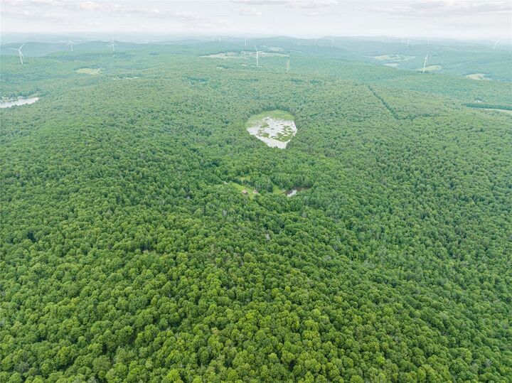 Property Photo:  308 Tennent Road 1  NY 13865 