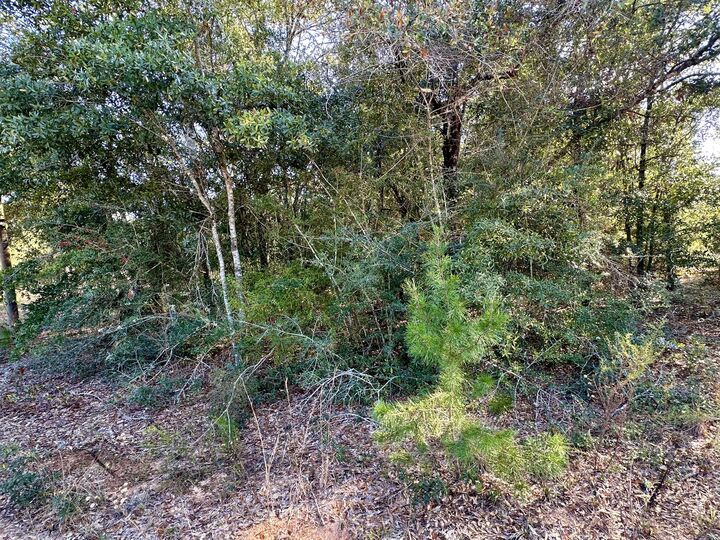 Property Photo:  Lot 3 W Cypress Avenue  FL 32433 