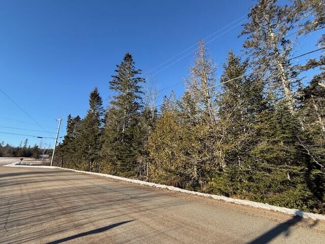 Property Photo:  Lot 31 Gin Cove Road  ME 04667 