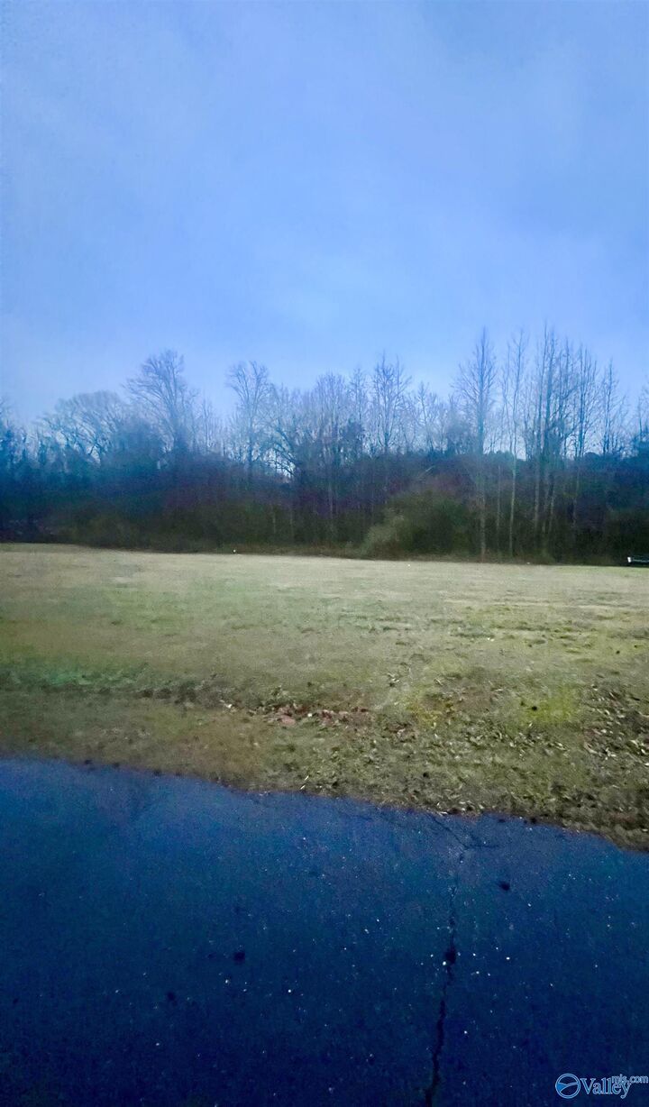Property Photo:  Lot 1 Holcomb Road  AL 35976 