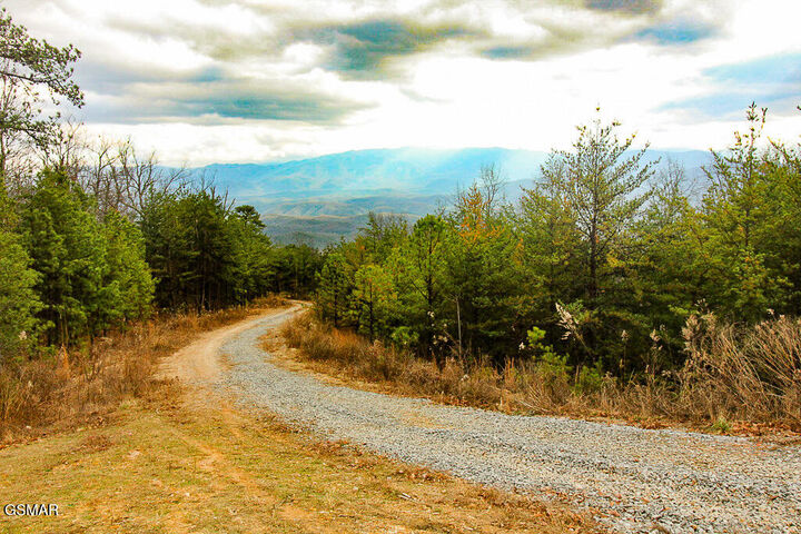 Property Photo: Tract B Mountain Ash Way TN 37876