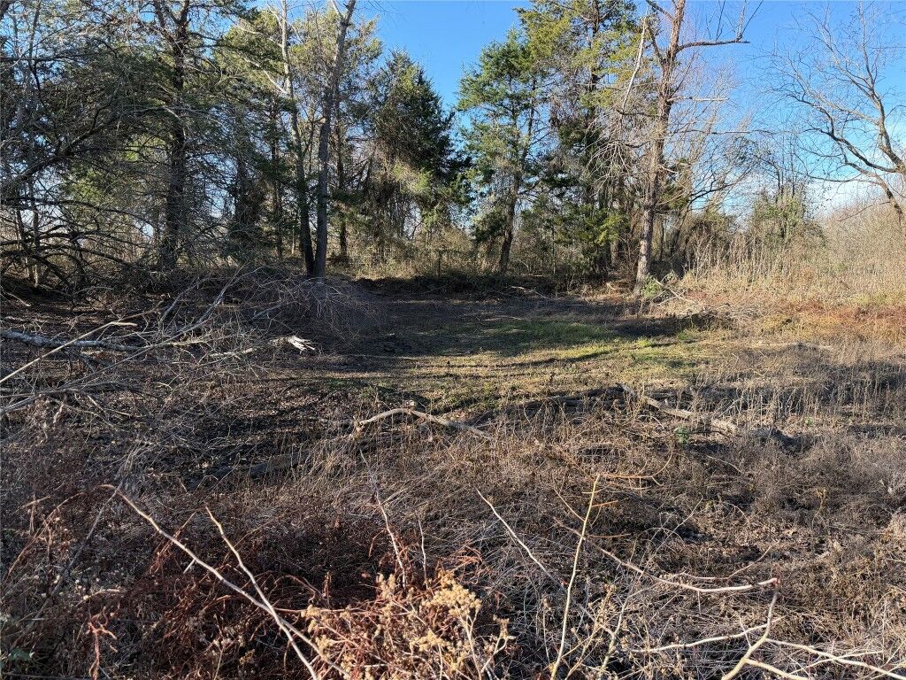 Property Photo:  Tbd County Road 925 Tract 17 Road  TX 76667 