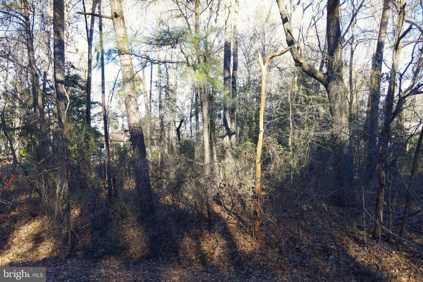 Property Photo:  0 S Piney Point Road  MD 21813 