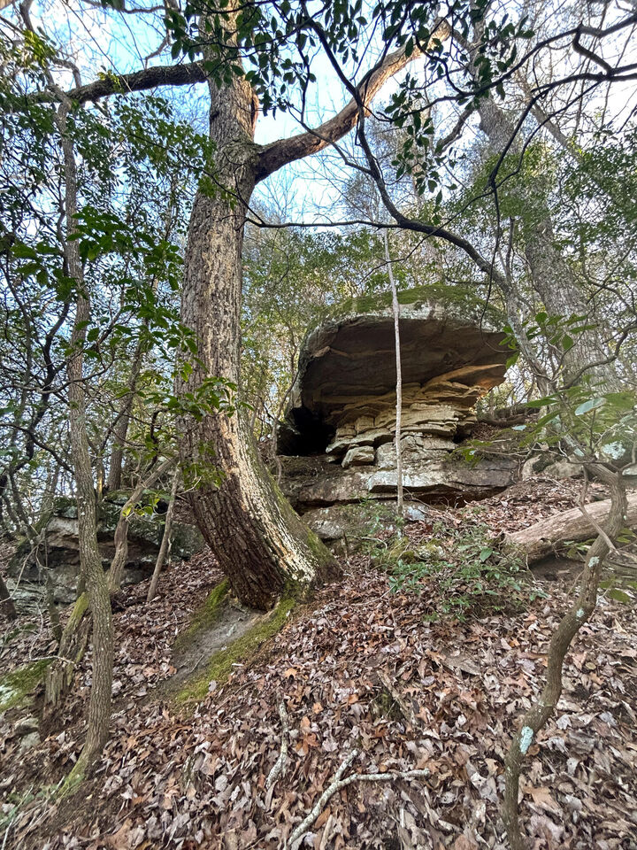 Property Photo:  0 Deerhead Road  TN 37327 