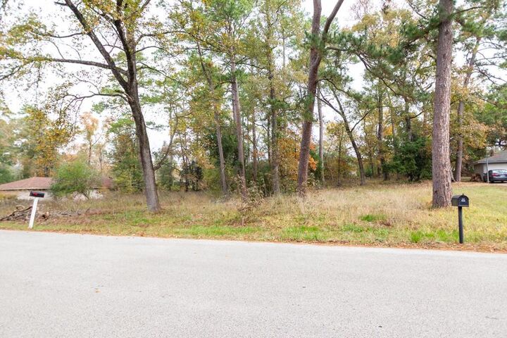 Property Photo:  24510 Pine Canyon Dr  TX 77380 