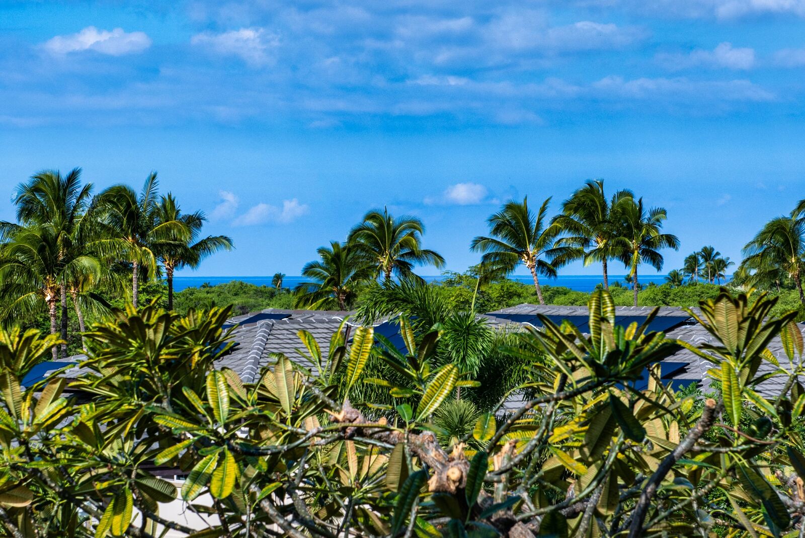 Property Photo:  68-1025 Kaniku Dr 644  HI 96743 