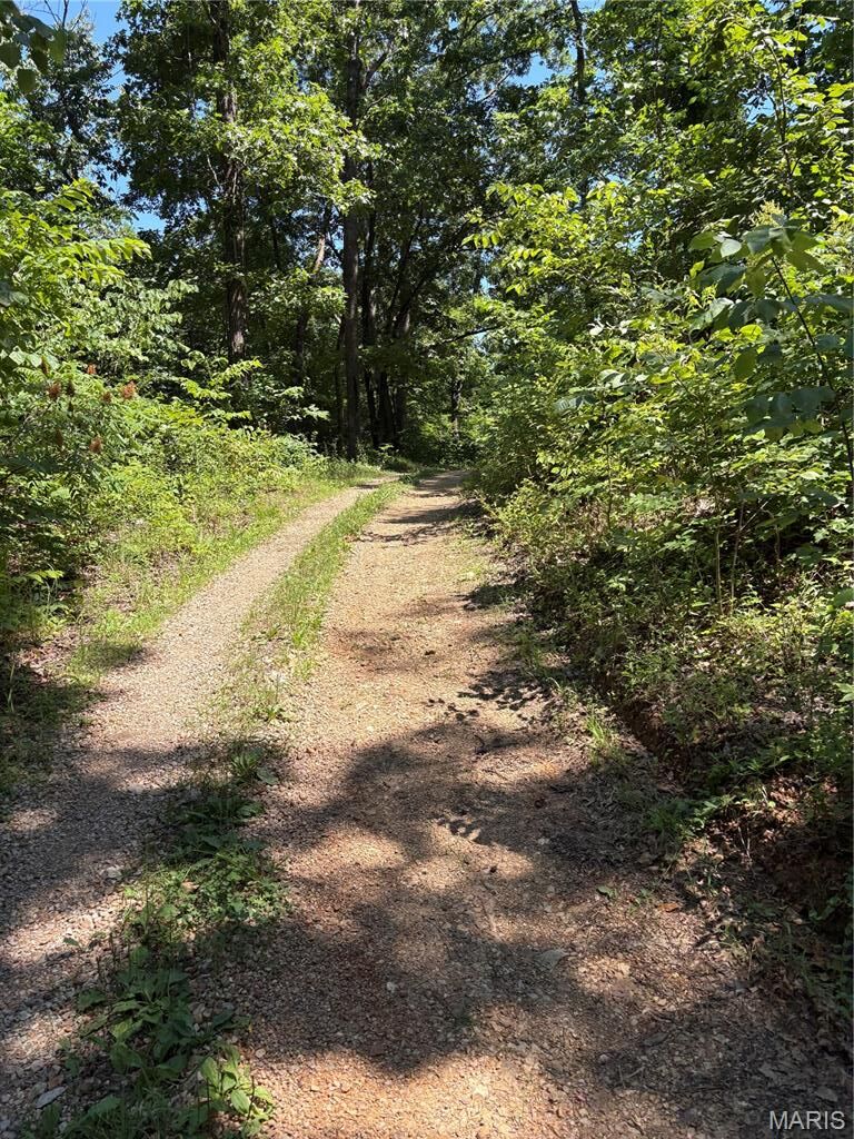 Property Photo: 511 A Wayne MO 63763