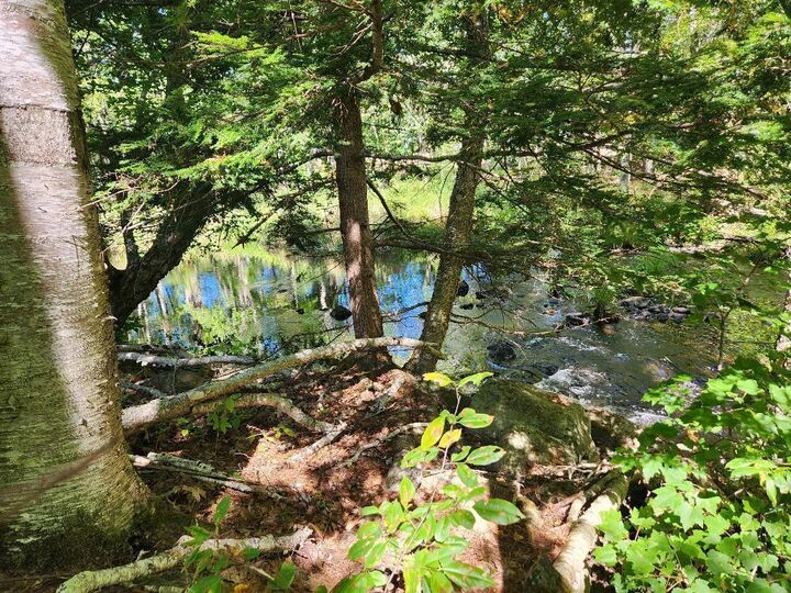 Property Photo: 28 Cemetery Road ME 04941