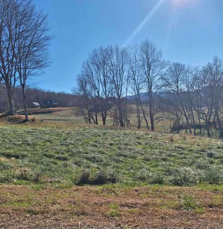 Property Photo:  0 Big Valley Drive  GA 30560 