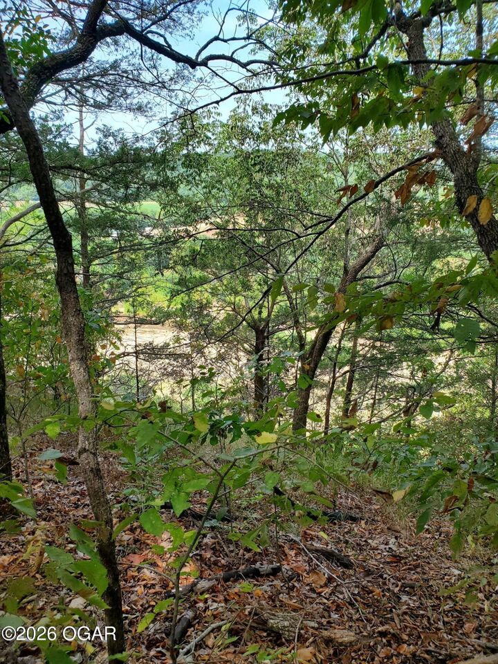 Property Photo: 000 Highway H MO 64854