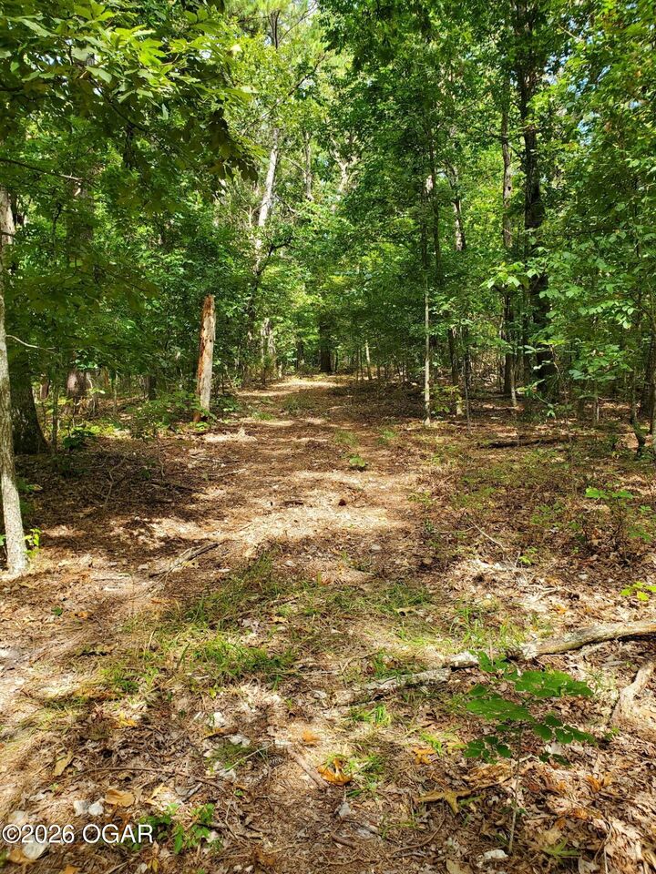 Property Photo:  000 Highway H  MO 64854 