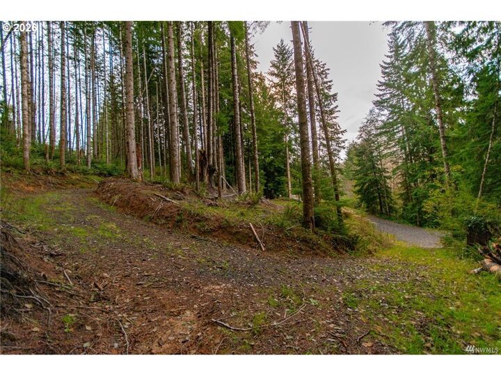 Property Photo:  1 Lot Bison Run  WA 98632 