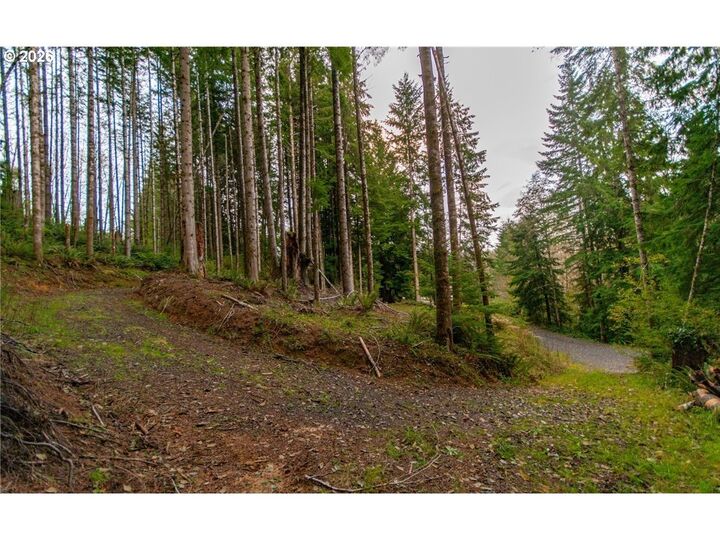 Property Photo:  1 Lot Bison Run  WA 98632 