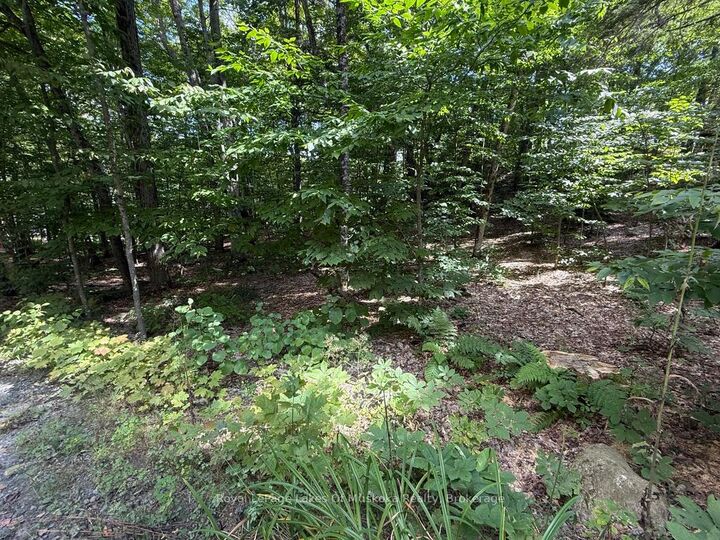 Lot 85 Brennan Circle — photo 1