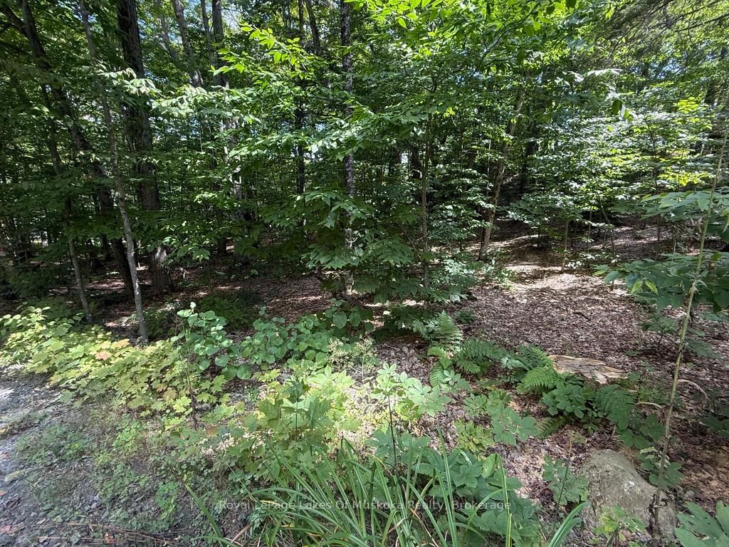Property Photo:  Lot 85 Brennan Circle  ON P1H 2J2 