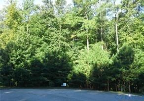 Property Photo:  15412 Isle Pines Drive  VA 23838 