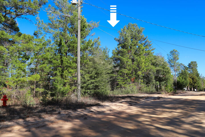 Property Photo:  Lot 24 E Marigold Avenue  FL 32433 