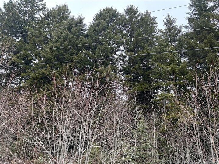 Lot 26-2 Backland Road — photo 1