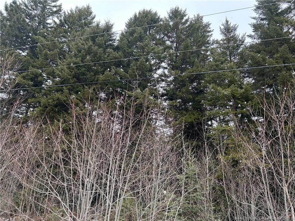 Property Photo:  Lot 26-2 Backland Road  NB E5N 1E2 