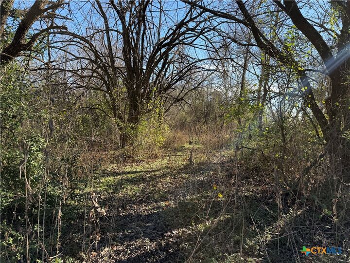 Property Photo:  Tbd County Road 925 Road  TX 76667 