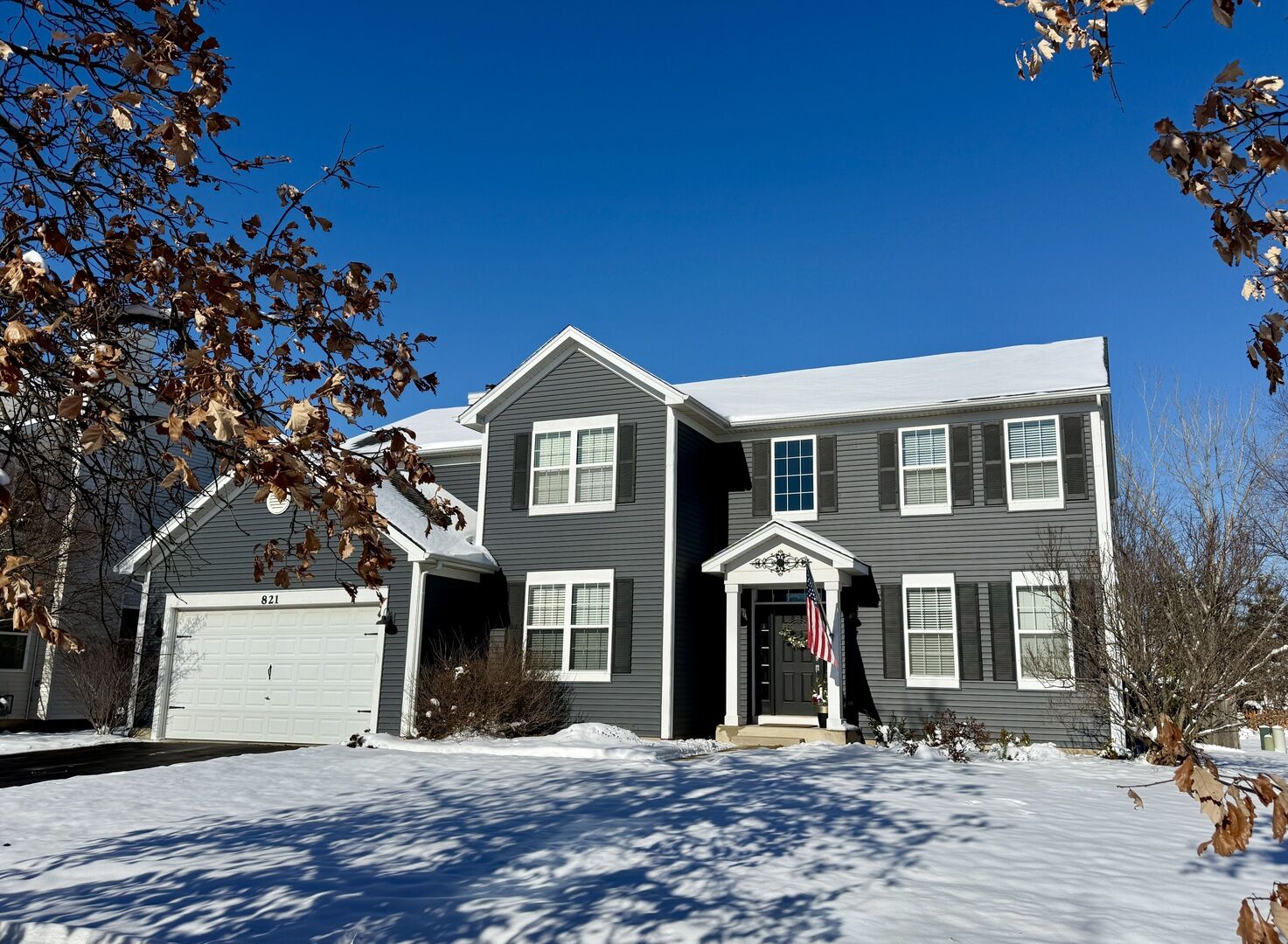 Property Photo:  821 Georgetown Drive  IL 60543 