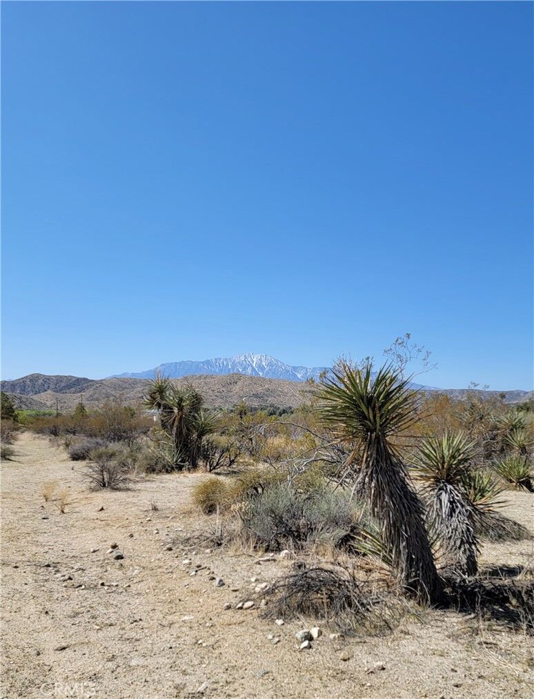 Property Photo: 0 Palo Verde CA 92256