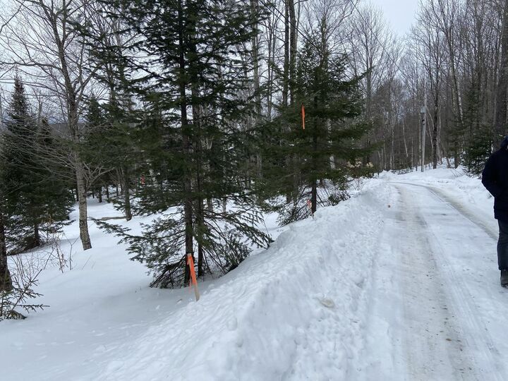 Property Photo:  48 Alberts Lane  VT 05674 