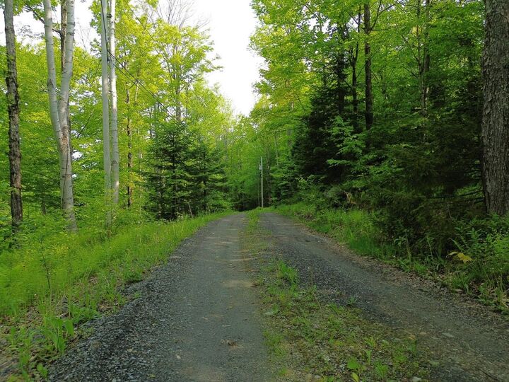 Property Photo:  48 Alberts Lane  VT 05674 