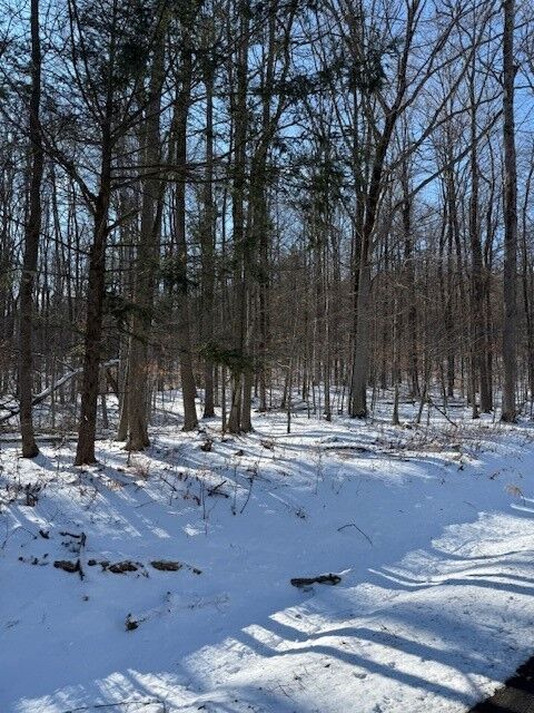 Property Photo: 0 Connecticut Hill Rd Road NY 14867