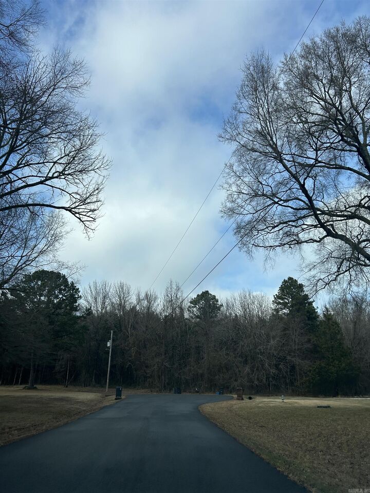 Property Photo:  00 Blake Cove Lane  AR 72058 