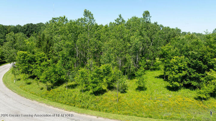 Property Photo:  101 Daggertail Lane  MI 48864 