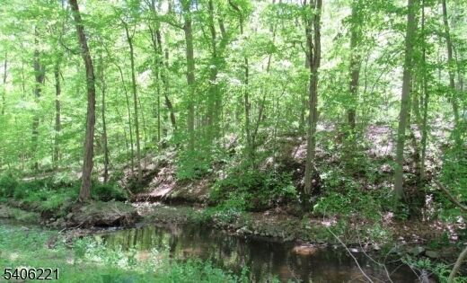 Property Photo: 0 Sweet Hollow Rd NJ 08848