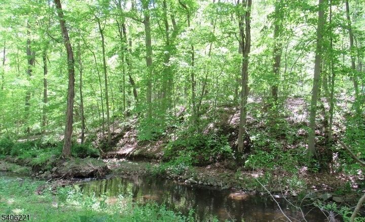 Property Photo:  0 Sweet Hollow Rd  NJ 08848 