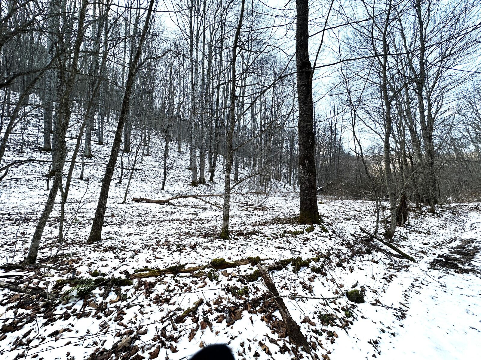 Property Photo:  Toms Run  WV 24966 