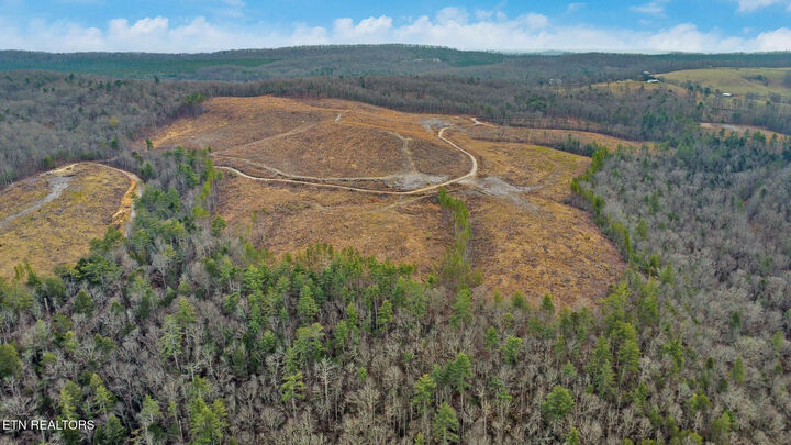 Property Photo:  Possum Trot Rd.- 142.25 Acres  TN 37337 