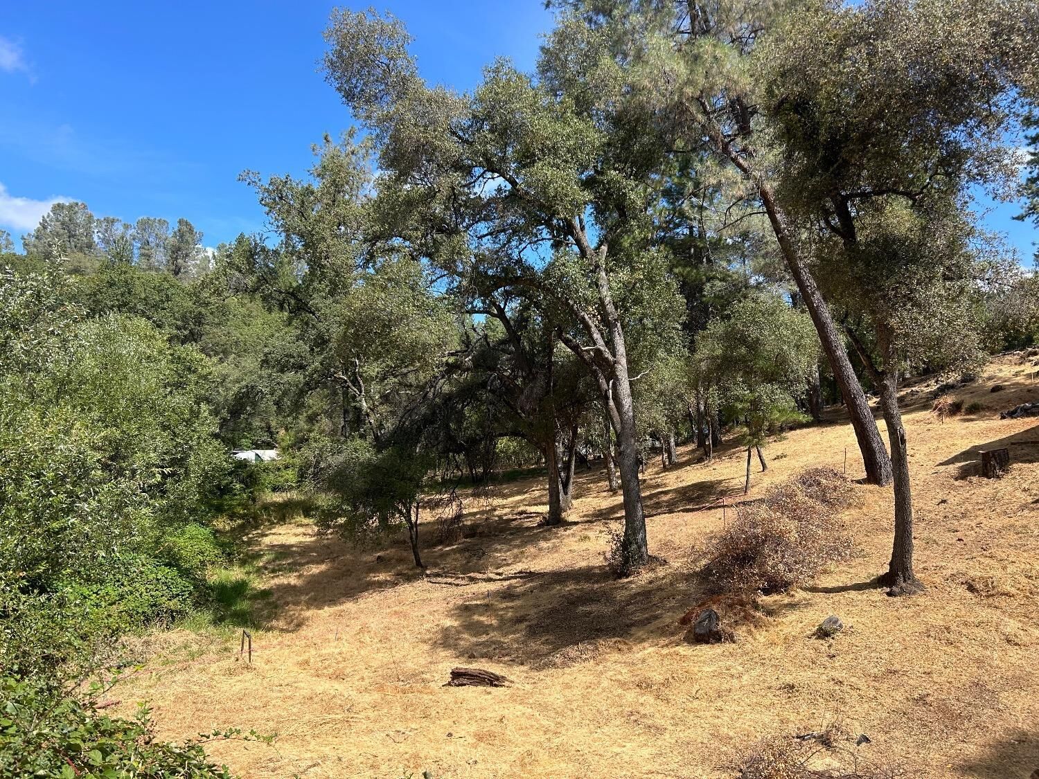 Property Photo:  16798 Patricia Way  CA 95949 