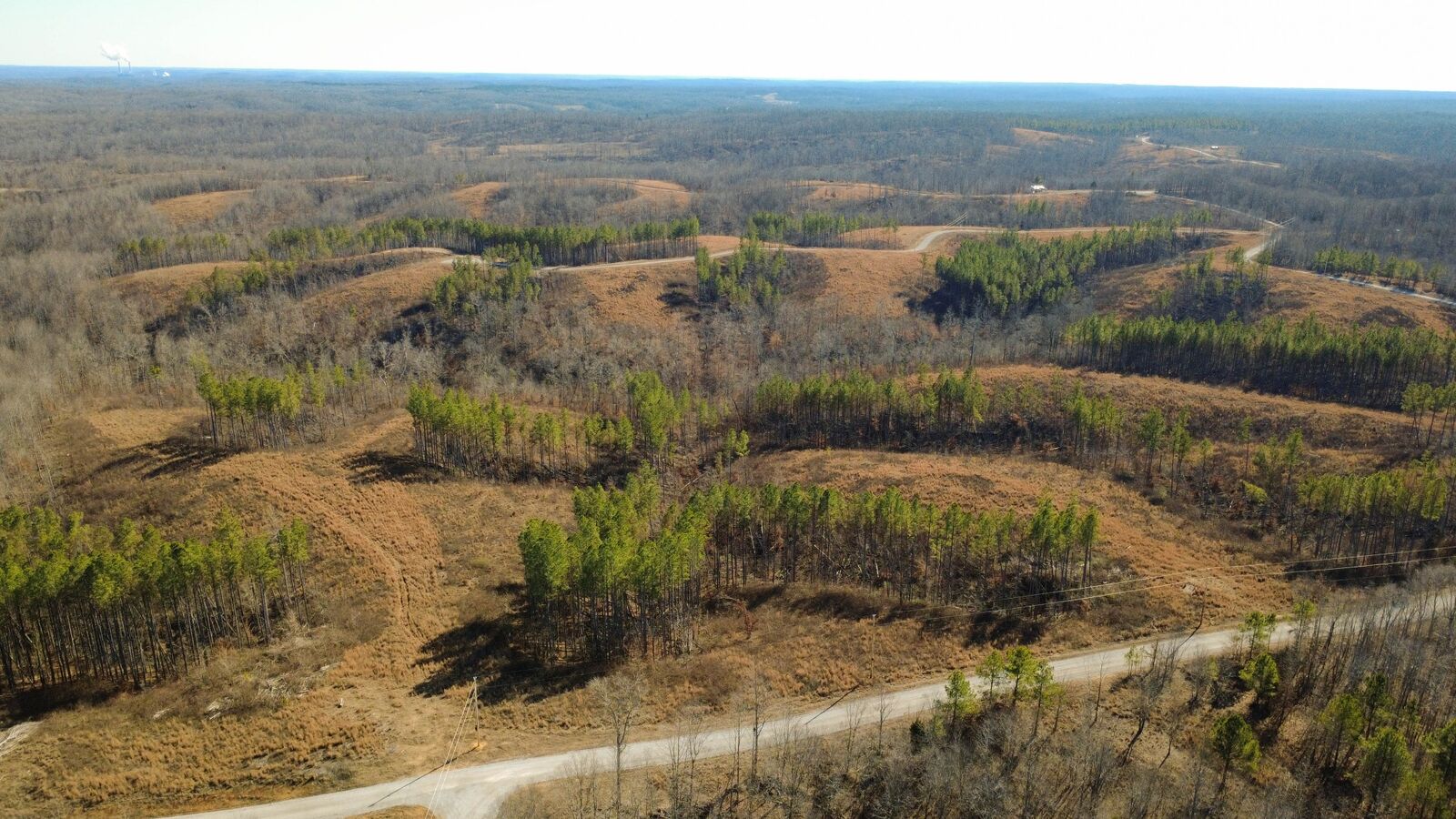 Property Photo: 45 Saddleback Dr TN 37058