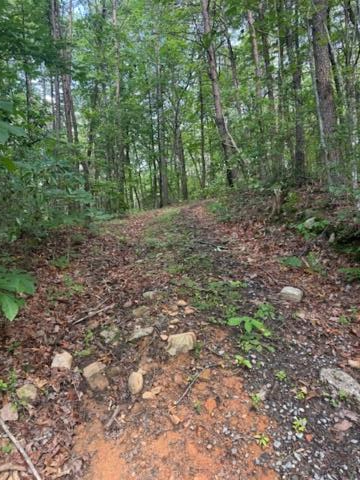 Property Photo:  10.96 Ac Paramount Trail  GA 30536 