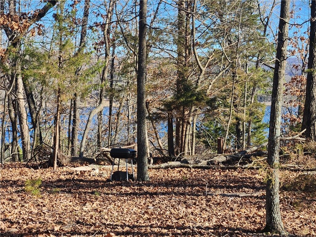 Property Photo:  Huckleberry Hills Road  AR 72756 