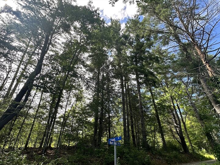 Property Photo:  1282 Burt Hill Rd  MA 01201 