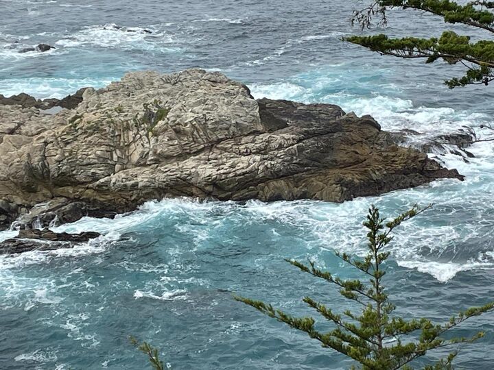 Property Photo:  142 Carmel Riviera Drive  CA 93923 