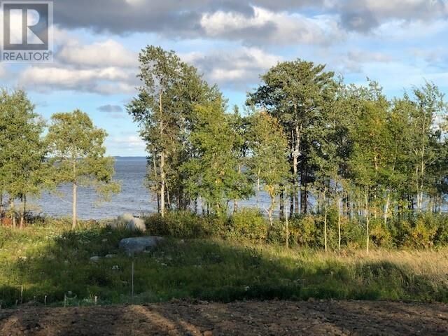 Property Photo:  202 Comfort Cove Road  NL A0G 3A0 