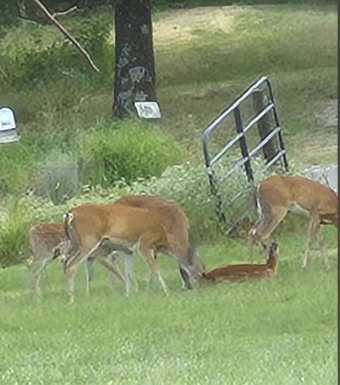 Property Photo:  324 County Rd 1530  OK 73082 