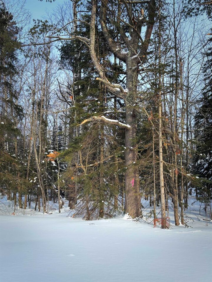 Property Photo:  000 Airport Rd  WI 54865 