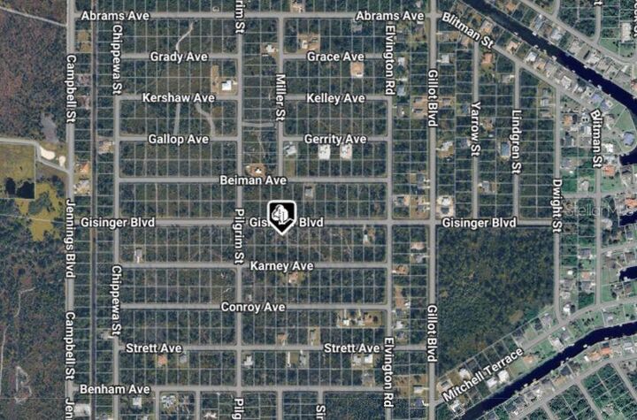 Property Photo: 12157 Gisinger Boulevard FL 33981