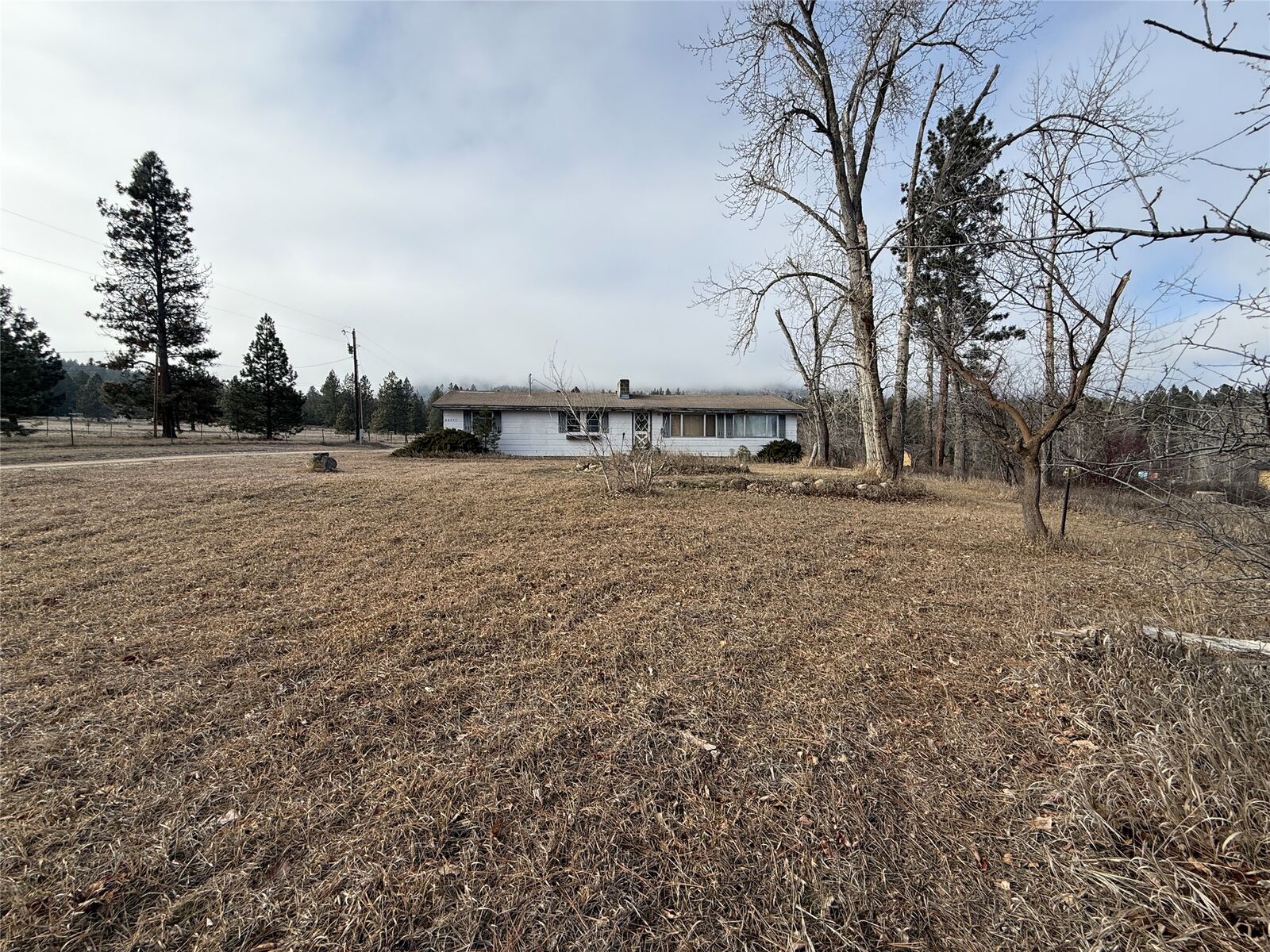 Property Photo:  20755 Jones Road  MT 59833 