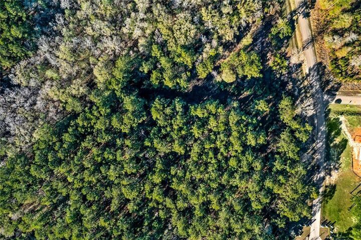 Property Photo:  12505 Goldentop Drive  LA 70433 